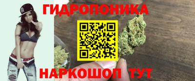 бошки Ставрополь