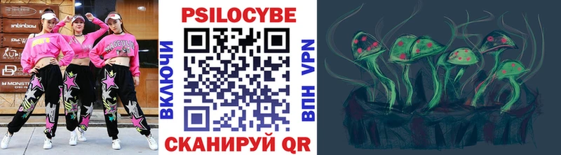 OMG маркетплейс  Северск  Галлюциногенные грибы прущие грибы 