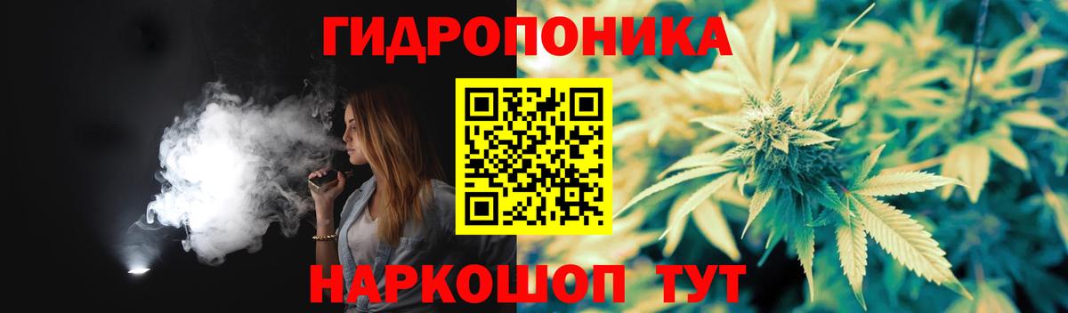 Шишки марихуана план Северск